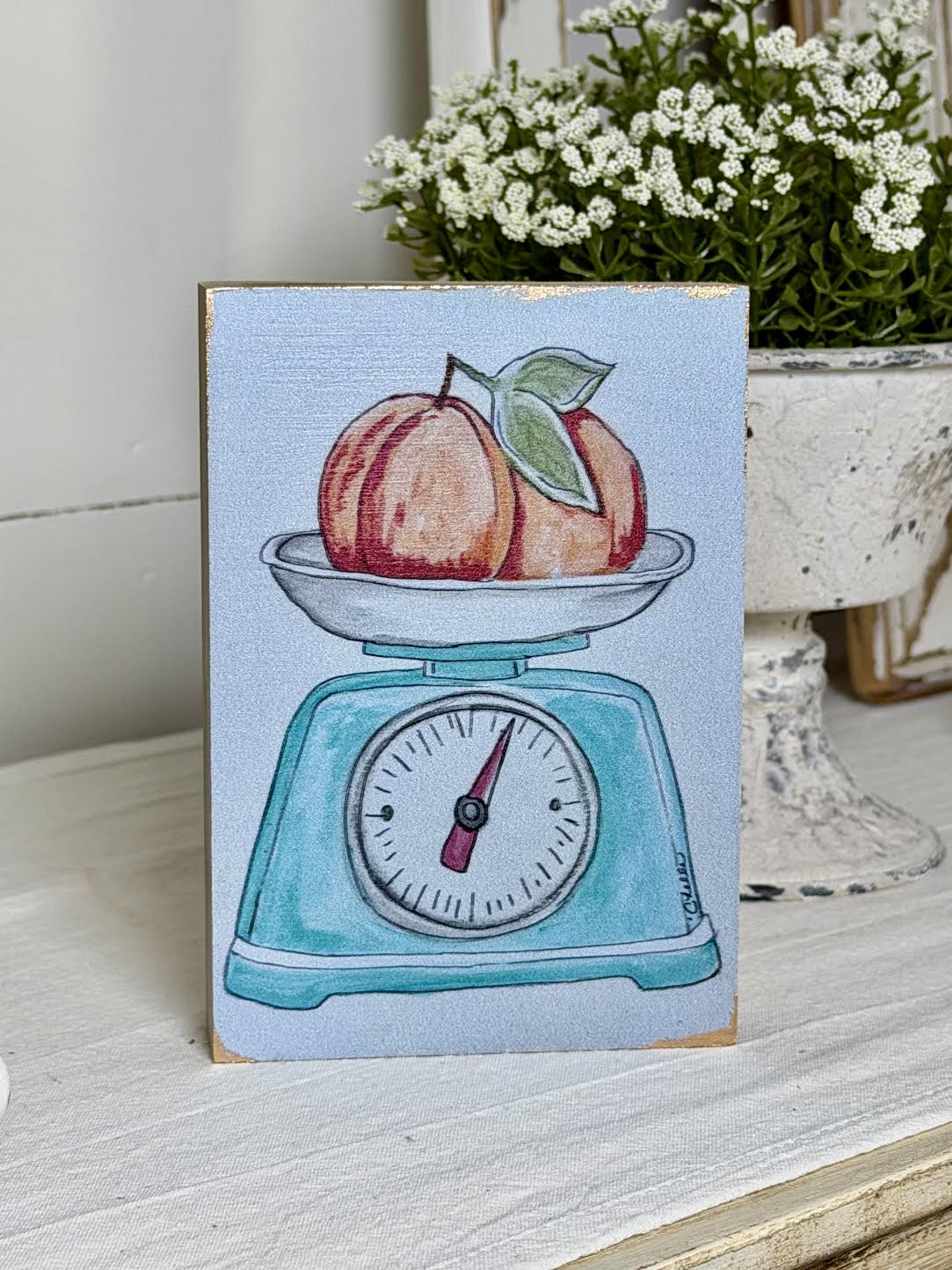 Decorative Blocks: Peaches